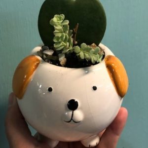 Ceramic Dog with plants